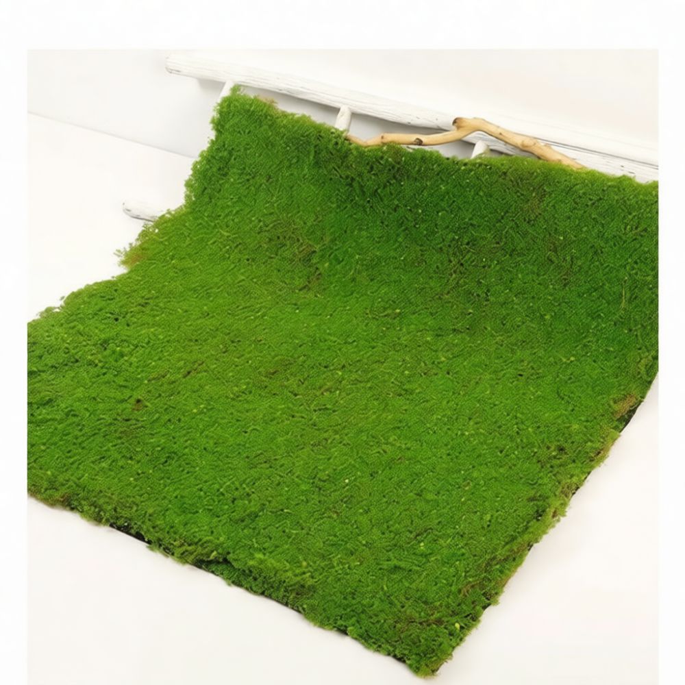 Sztuczna mata z imitacji mchu, – Preserved Moss Sheet recenzja i cena