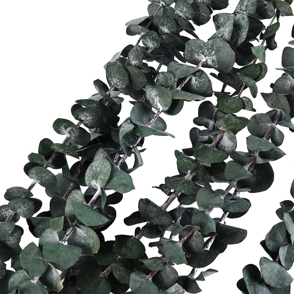 10 szt. Prawdziwe suszone liśc – Eucalyptus Preserved recenzja i cena