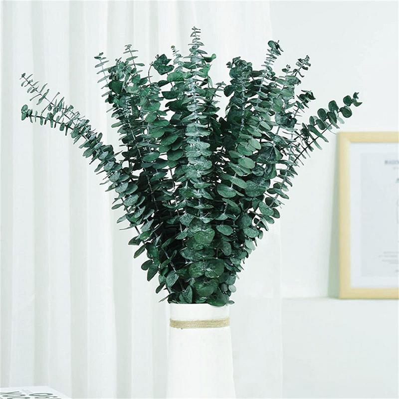 10 SZTUK Prawdziwe liście euka – Eucalyptus Preserved recenzja i cena