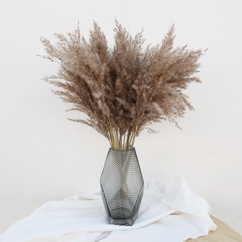 10 szt. Kolorowe Naturalne Trz – Florist Supply Vases recenzja i cena