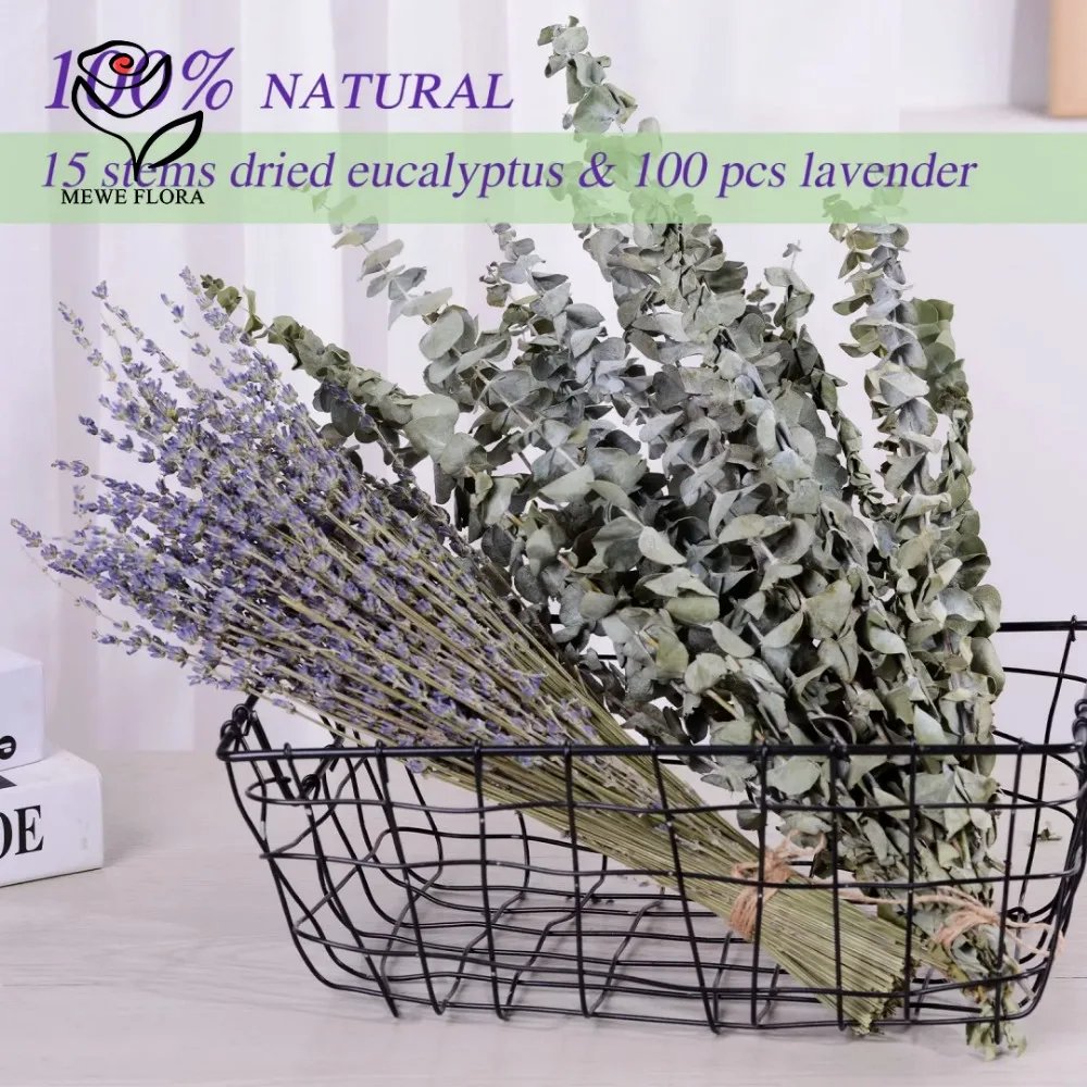 30Pcs Suszone kwiaty Zachowane – Eucalyptus Preserved recenzja i cena